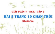 Bài 5 trang 10 Toán 7 Chân trời sáng tạo Tập 2